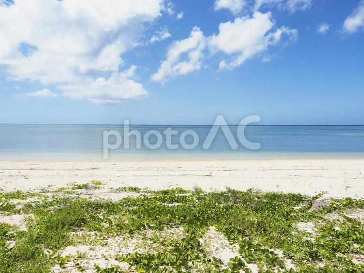 青空と海、砂浜から眺める水平線