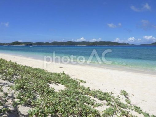 美しい砂浜、ニシバマビーチ（座間味村）
