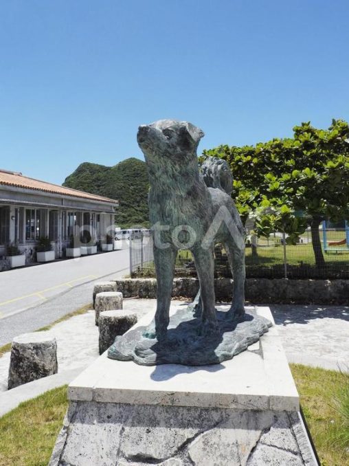 シロの像、阿嘉島（沖縄県座間味村）