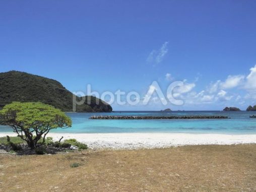 前浜ビーチ、阿嘉島（沖縄県座間味村）