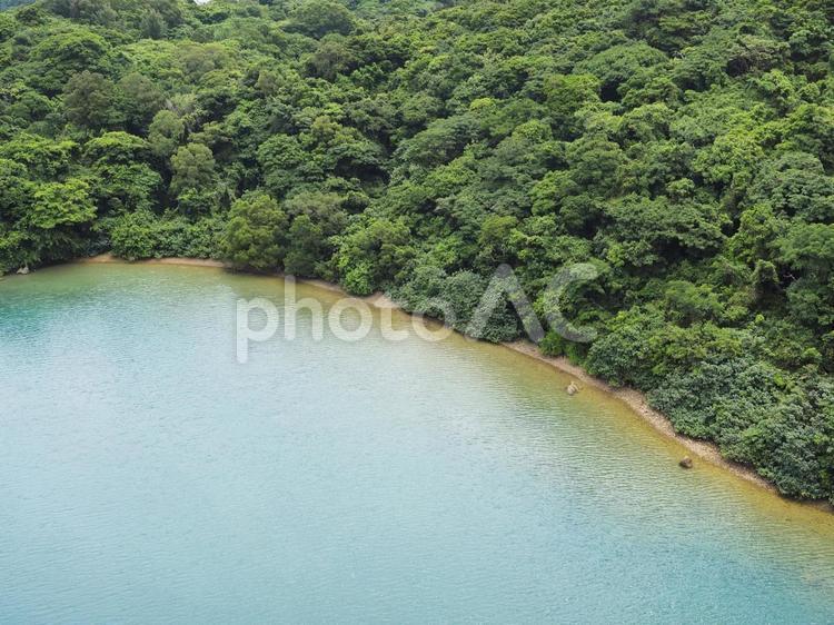森林と海辺