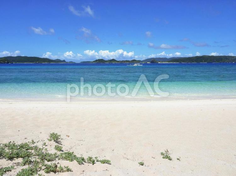 美しい砂浜、ニシバマビーチ（座間味村）