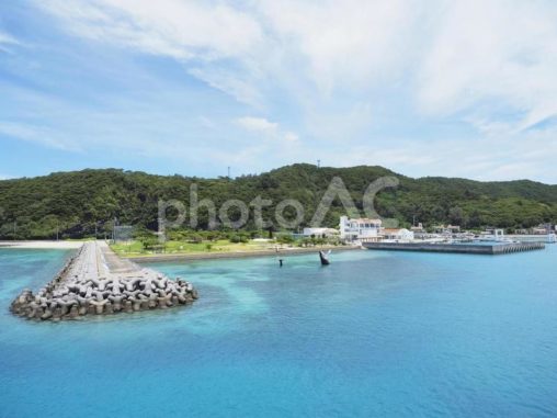 座間味港、緑地（沖縄県座間味村）