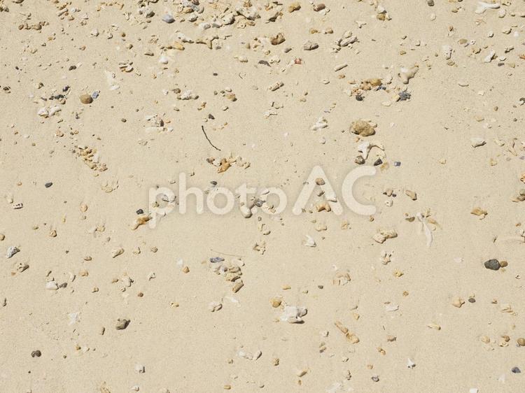 砂浜、小石、貝やサンゴ