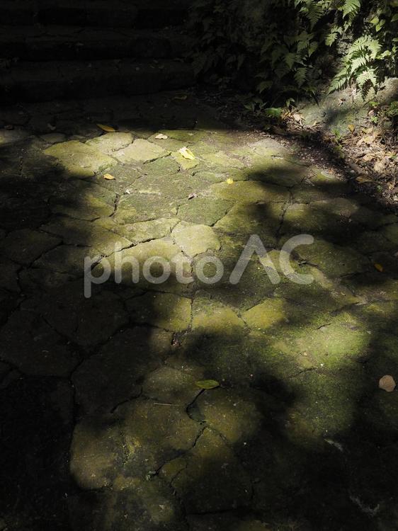 石畳を照らす木漏れ日