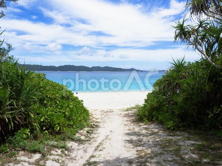 美しいビーチへの入り口、白い砂浜と青い海