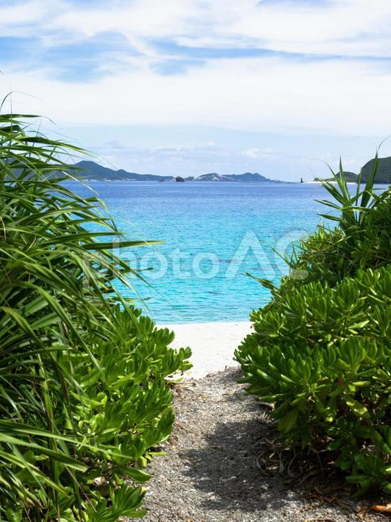 ビーチへの入り口、南の島の海と砂浜