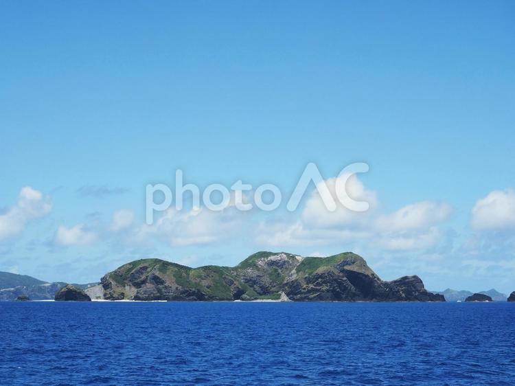 黒島（沖縄県、慶良間諸島）