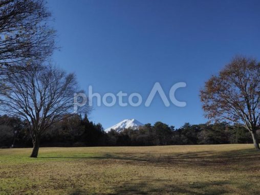富士山と芝生の広場