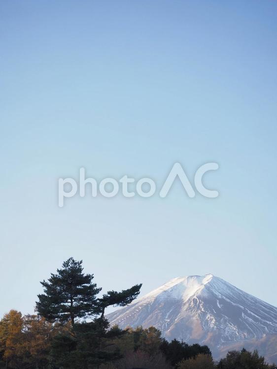 富士山と森の木々と青空