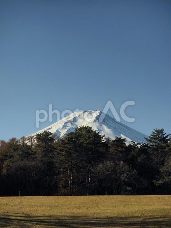 朝の富士山と芝生の広場
