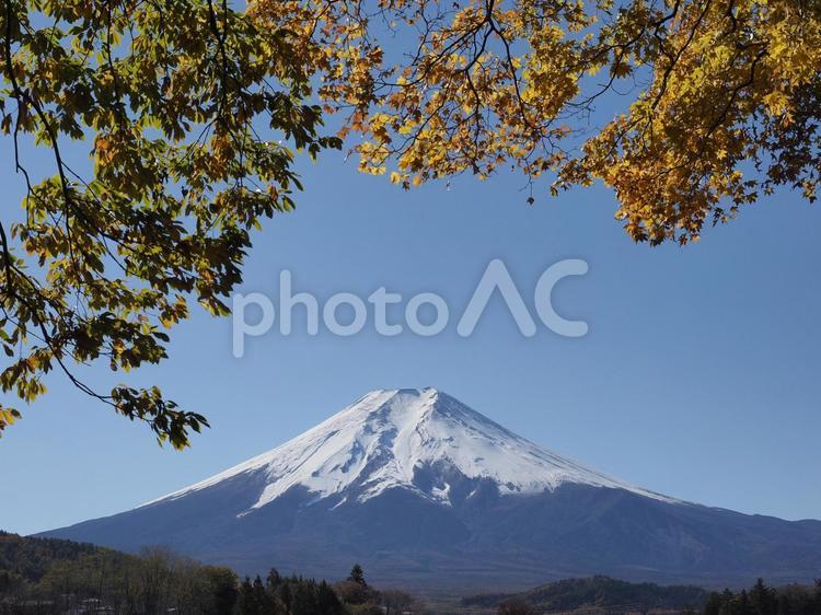 富士山と青空ともみじ