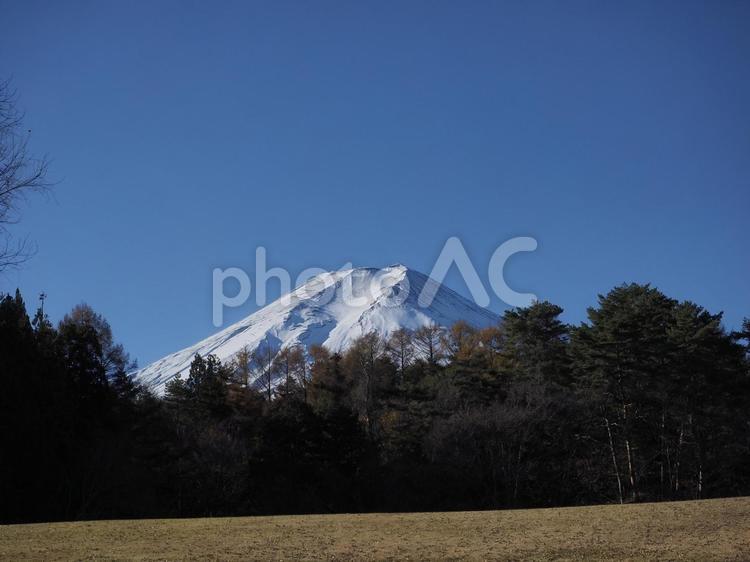 富士山と芝生の広場