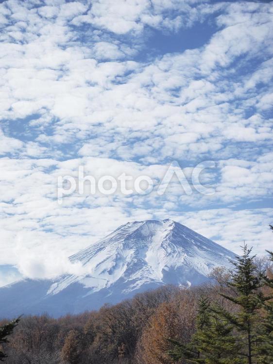 絵画のような富士山