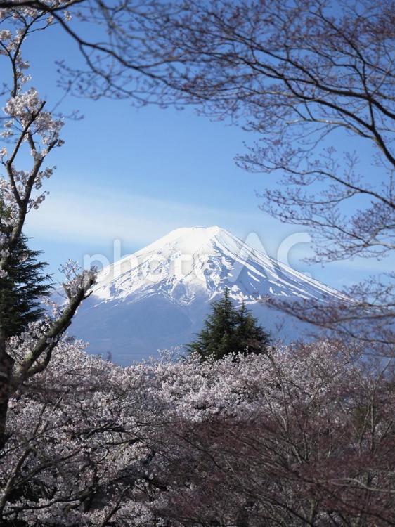 春の富士山と富士吉田市の街並み