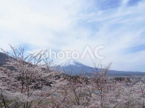 富士山と桜