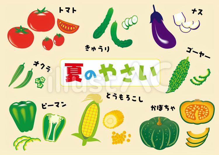 夏の野菜 ゴンピンの素材 イラストac 無料素材イラスト 文字デザイン イラレ 商用利用可