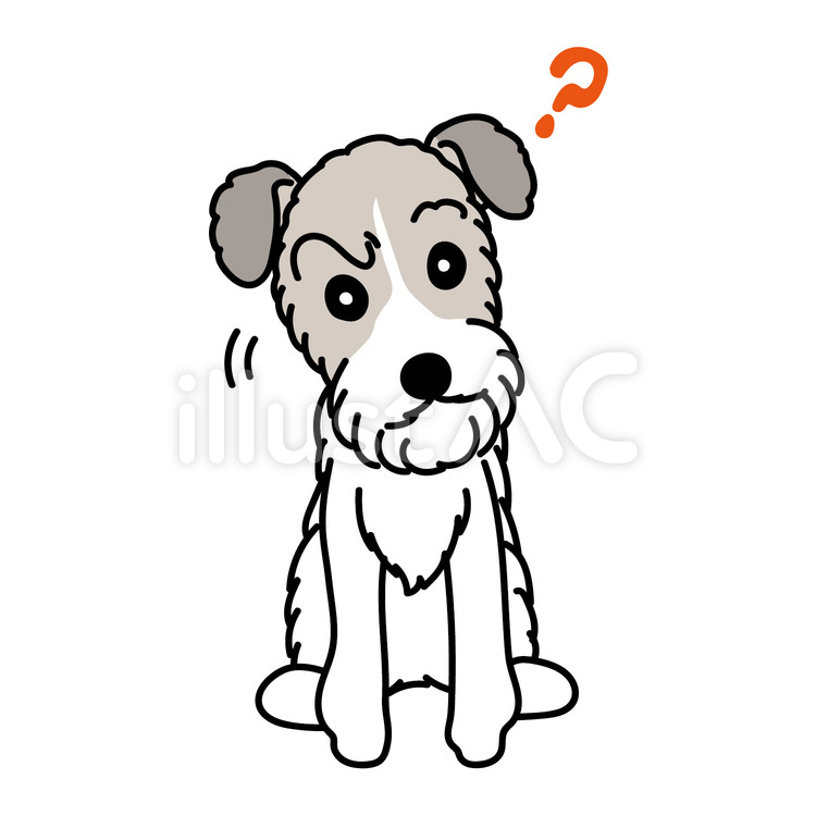 ワイヤーフォックステリアのハテナな様子