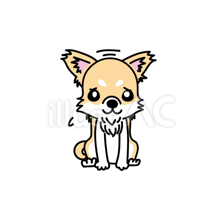 チワワの落ち込んだ様子