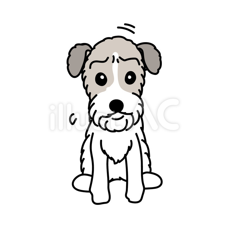 ワイヤーフォックステリアの落ち込んだ様子