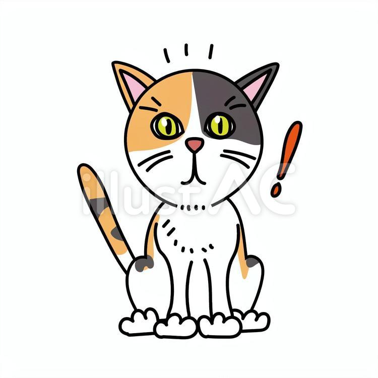 三毛猫が何かに気が付いた様子