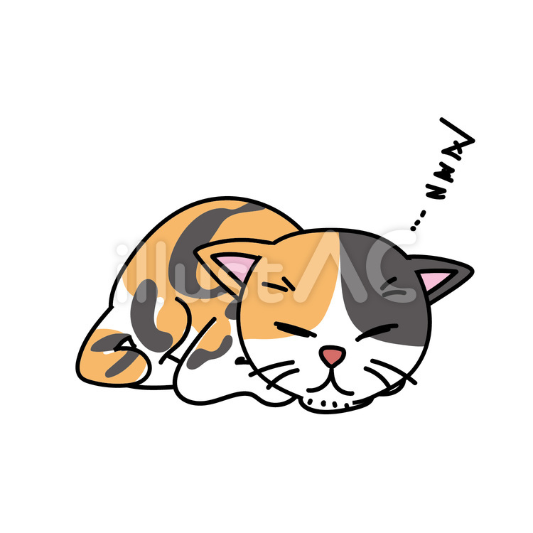 三毛猫のうずくまって寝る様子