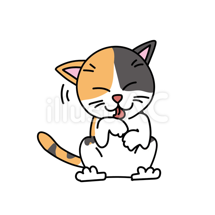 三毛猫の毛づくろい