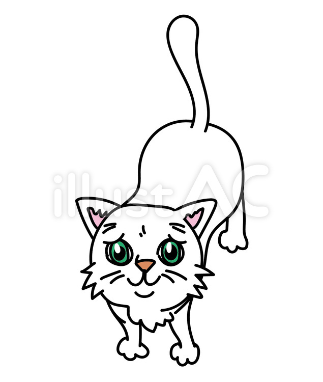 白猫の見上げて見つめてくる様子