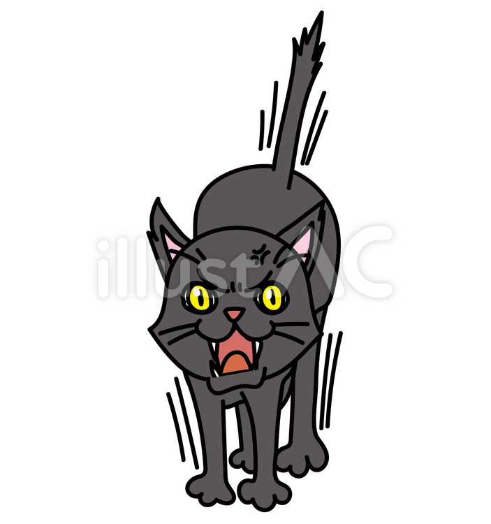 黒猫が威嚇してくる様子