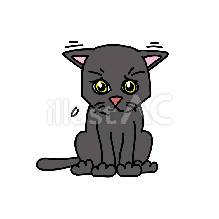 黒猫の落ち込んだ様子