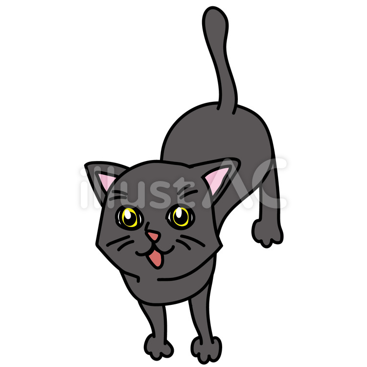 黒猫の見上げて見つめてくる様子