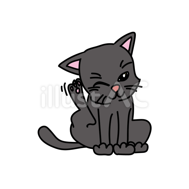 黒猫の頭をかく様子